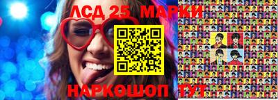 индика Дубна