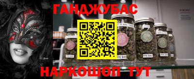 индика Дубна