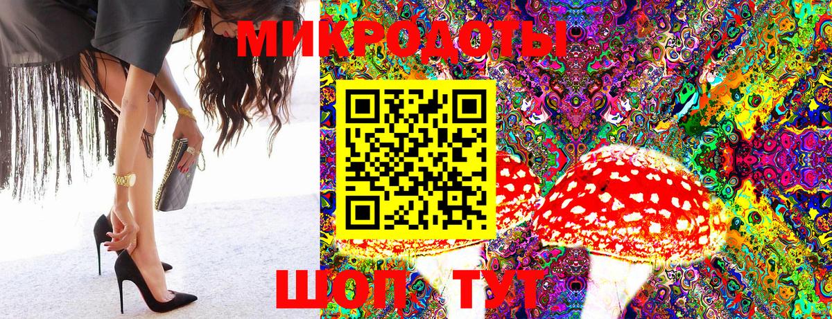 Псилоцибиновые грибы MAGIC MUSHROOMS  Псилоцибиновые грибы Magic Shrooms  Вход с VPN  купить  цена  Ипатово 
